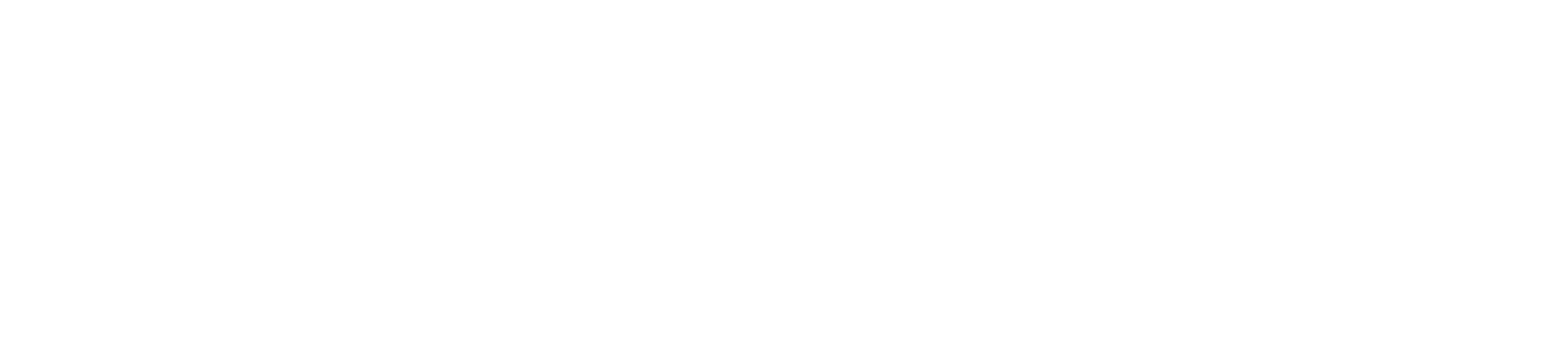UPI Logo - Full - White