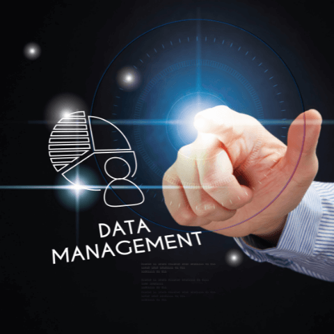 Data Management photo representing UPI services